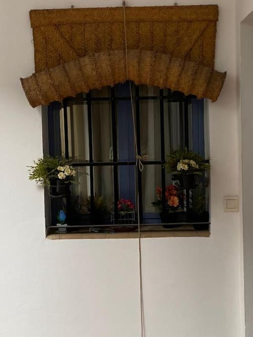 סביליה Hispalis Casa Pilatos מראה חיצוני תמונה